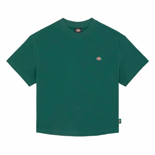 DICKIES OAKPORT BOXY TEE DK0A4Y8LPIN