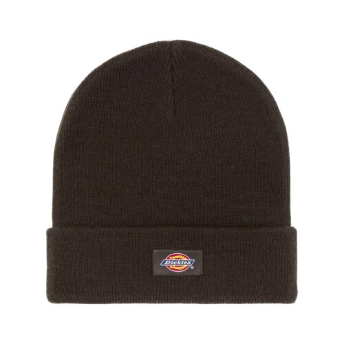 DICKIES GIBSLAND BEANIE DK0A4X7K0DB