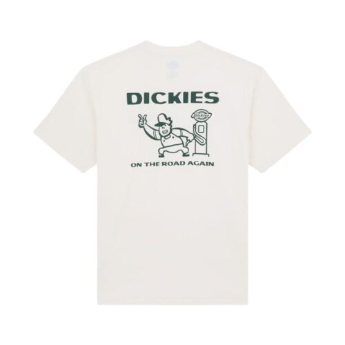 DICKIES BURNS TEE SS DK0A87QIC48