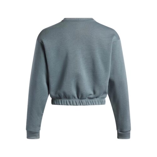 UNDER ARMOUR FLEECE PIPED CREW 6007035-0587