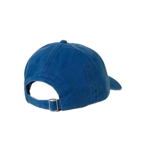 POLAR SKATE CO. SAI CAP SAIC-WBL