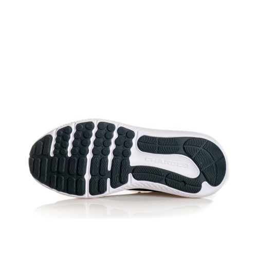 UNDER ARMOUR CHARGED SURGE 4 3027000.001