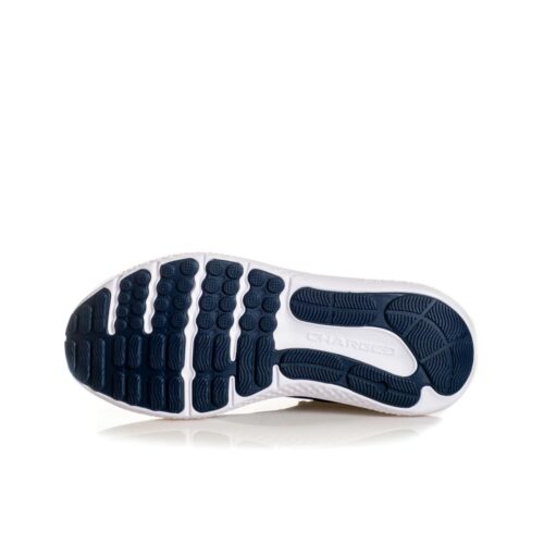 UNDER ARMOUR CHARGED SURGE 4 3027000.401