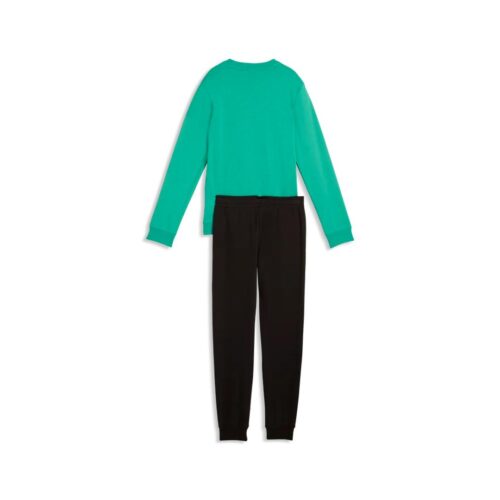 PUMA ESS NO.1 LOGO CREW S 686296.40