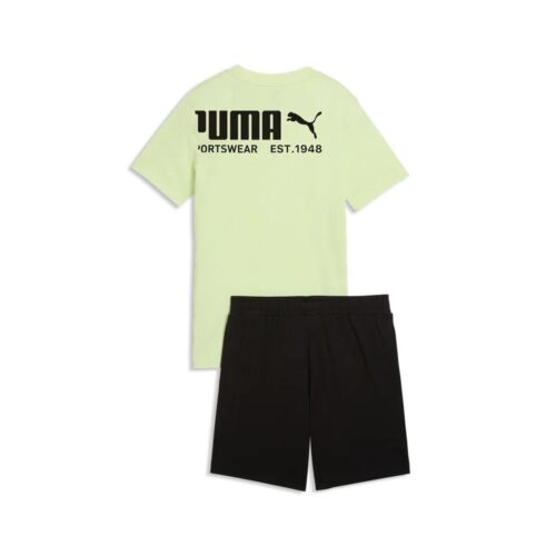 PUMA SPORT TEE AND S 693335.38