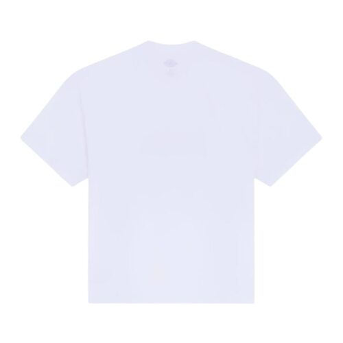 DICKIES LOOSE WAVE SS TEE DK0A88PE0WH