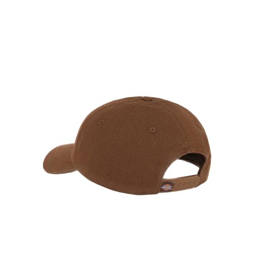 DICKIES HARDWICK DK0A4TKV0TB