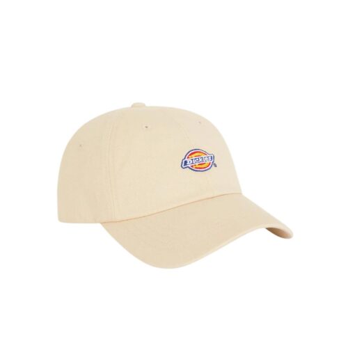 DICKIES HARDWICK DK0A4TKVF90