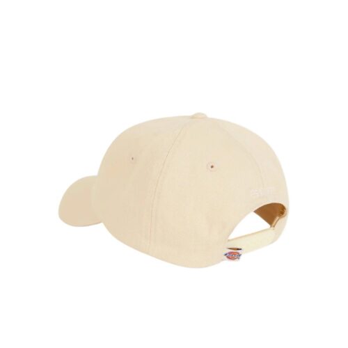 DICKIES HARDWICK DK0A4TKVF90