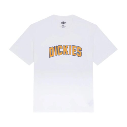 DICKIES AITKIN SS TEE  DK0A88GL0WH