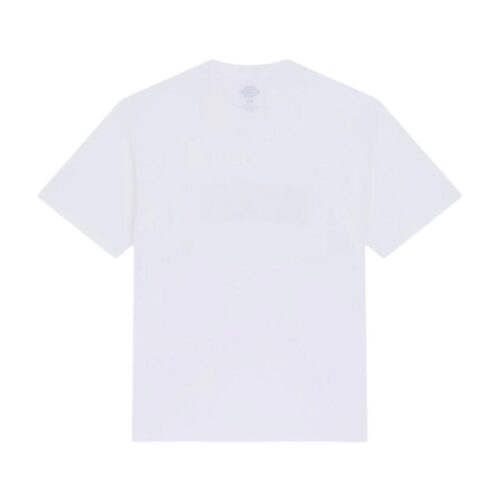DICKIES AITKIN SS TEE  DK0A88GL0WH