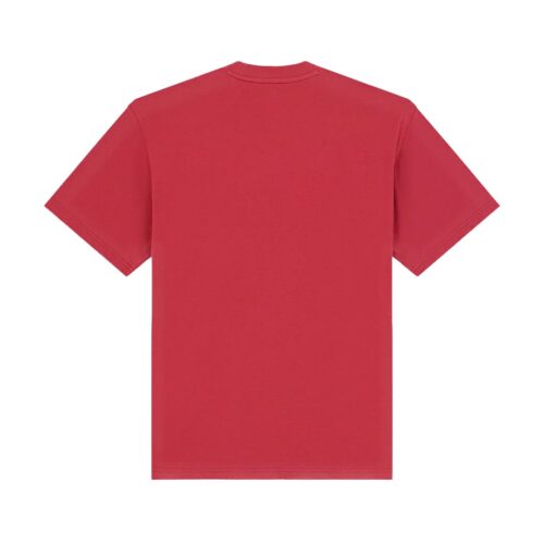 DICKIES AITKIN SS TEE  DK0A88GLL33