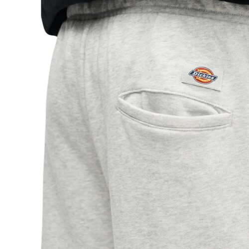 DICKIES STREETSBORO 13 INCH SWEAT SHORT DK0A885BA281