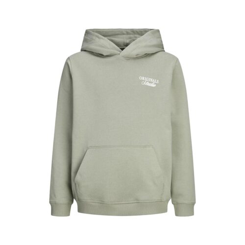 JACK&JONES JORNORREBRO TYPO BACK SWEAT HOOD SN JNR 12284069.SEAGRASS