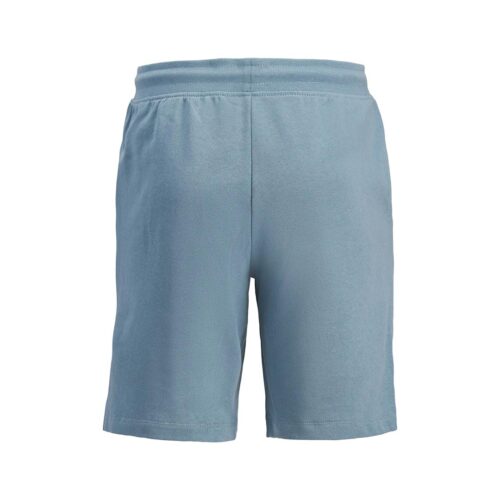 JACK&JONES JPSTGORDON ARCHIVE COLOR SWEAT SHO JNR 12298388.MS