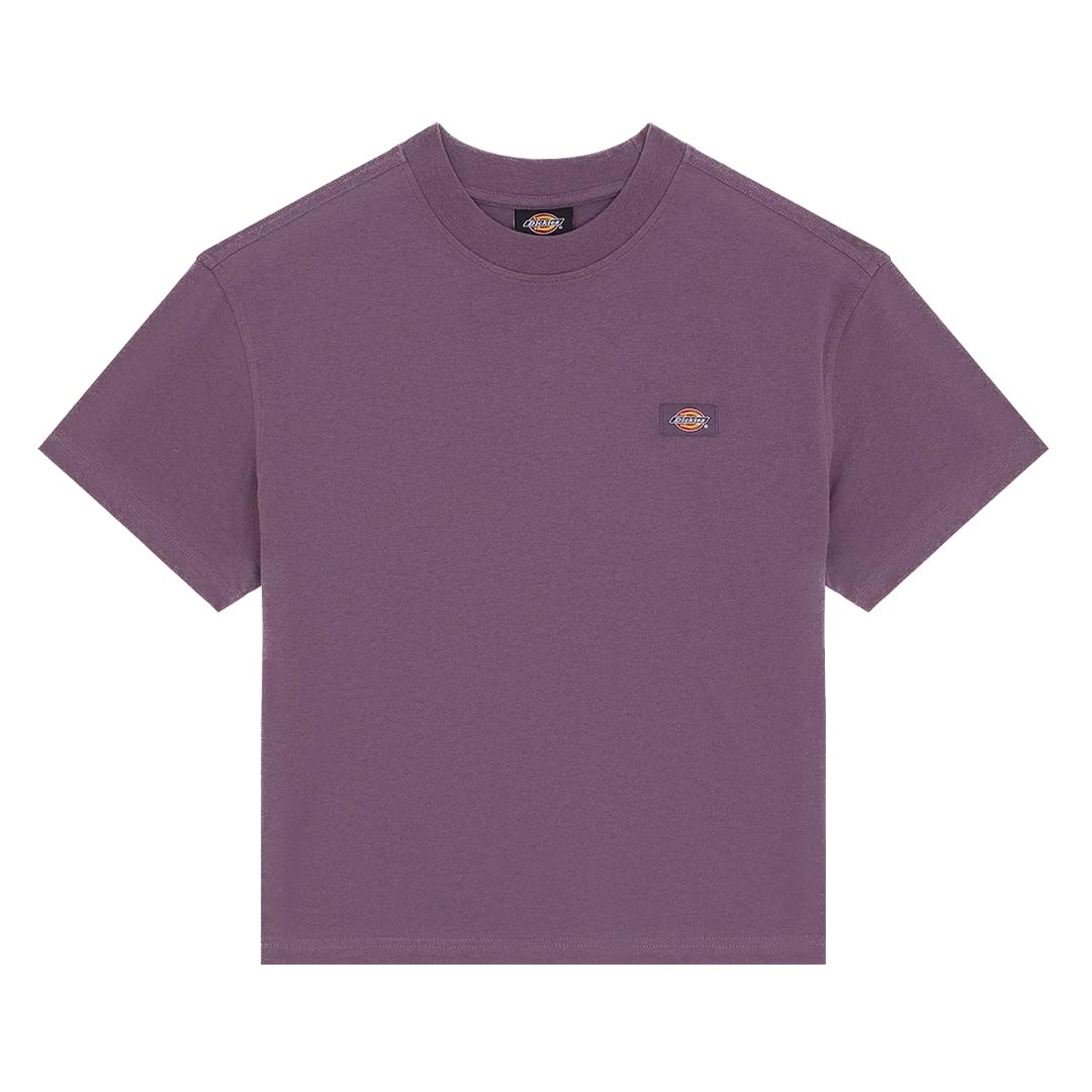 DICKIES OAKPORT BOXY SS TEE DK0A4Y8LL79