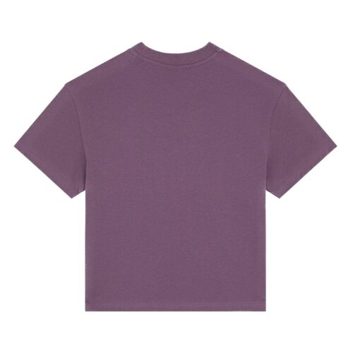 DICKIES OAKPORT BOXY SS TEE DK0A4Y8LL79