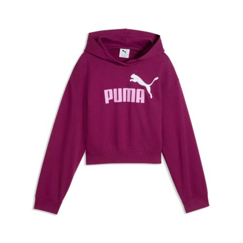 PUMA ESS 2 COLOR NO.1 LOGO HOODIE 686072.41
