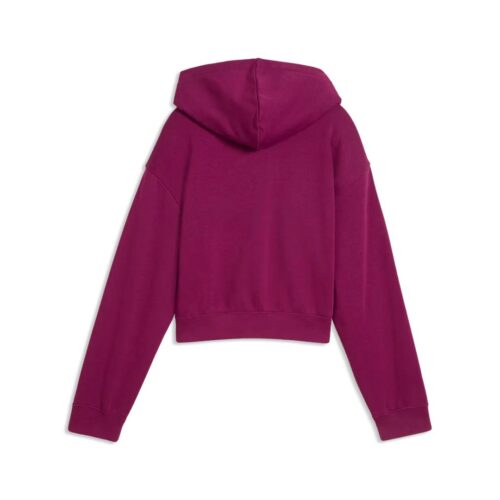 PUMA ESS 2 COLOR NO.1 LOGO HOODIE 686072.41