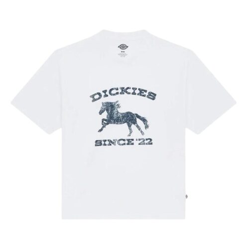 DICKIES OWYHEE SS TEE DK0A8CU60WH