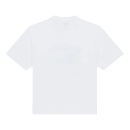 DICKIES OWYHEE SS TEE DK0A8CU60WH