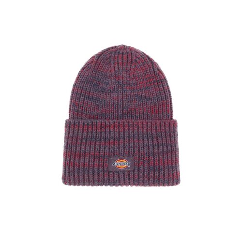 DICKIES LEWISTOWN BEANIE VINTAGE DK0A4Z3JL79