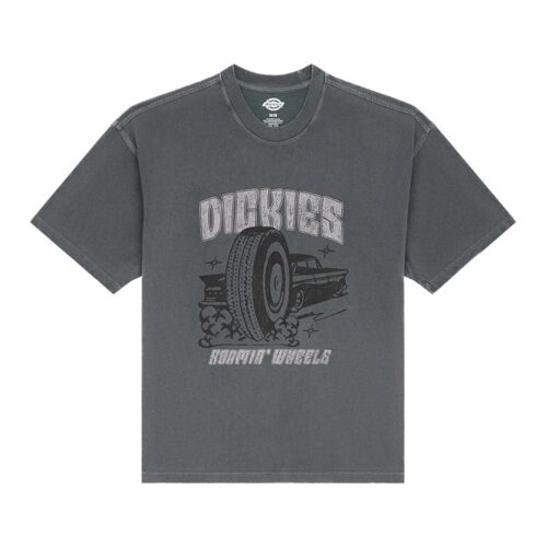 DICKIES TITUSVILLE SS TEE DK0A8CIM0CH